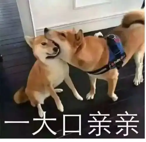 我好像有点喜欢上比我小八岁的男孩子了,他到底对我是什么意思