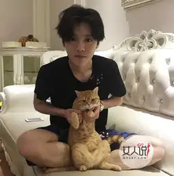 猫咪头像真人系头像图片