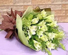 佳县网上花店商品内容材料11支铁炮百合,文竹陪衬包装淡绿色棉纸背衬,咖啡色绵纸托底,同色系丝带束扎