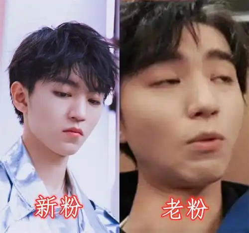 有种反差萌叫新粉vs老粉,王一博周震南还好,看到王俊凯跑偏了