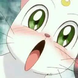 可爱动漫猫咪头像女