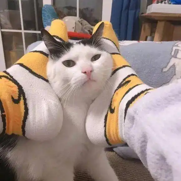 微信个性头像大全