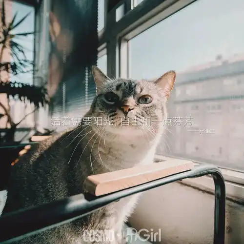 周末闲聊宅在家让你发掘出了什么新技能