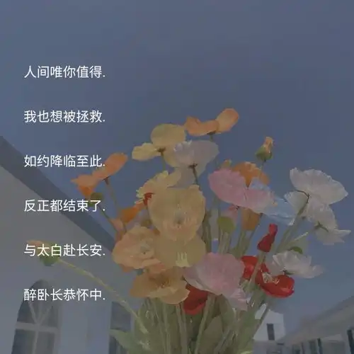 有点心动的杂系王者网名