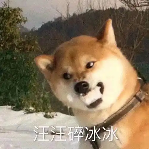 旺旺碎冰冰表情包图片阴