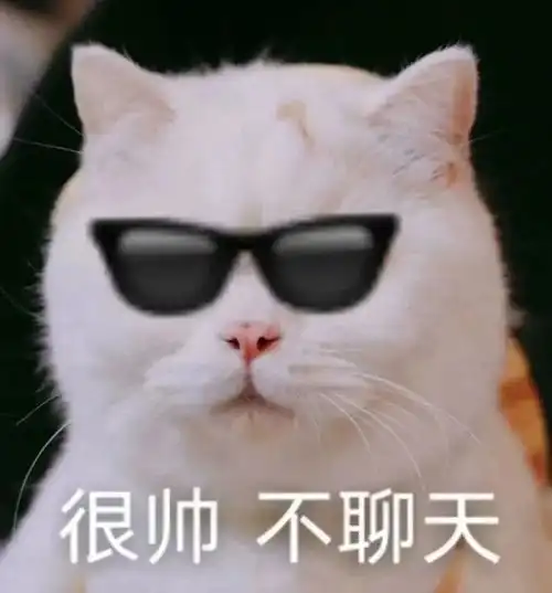 那些你没见过的沙雕文案