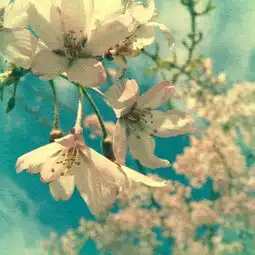 谁给我想个好听的网名和头像