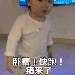 猪动图表情包蹦迪