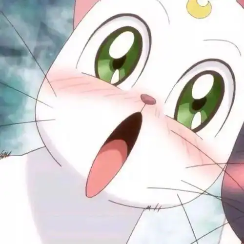 可爱猫咪头像系头像动漫