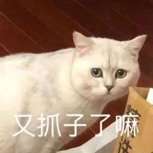 好玩趣味沙雕表情包集