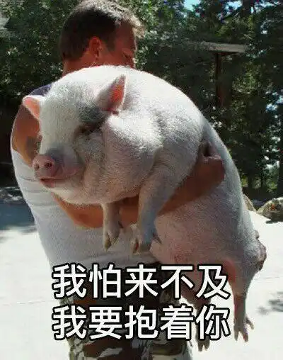 有没有熊抱的表情包,emmm,抱抱的也可以