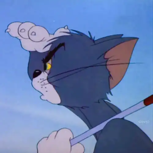 猫咪头像真人系头像图片