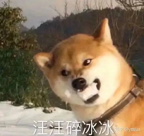 旺旺碎冰冰表情包图片旺
