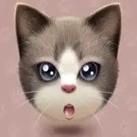 猫趴在人脸上卡通头像微信头像图片大全