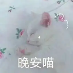猫咪先生视频直播全集猫咪先生资料大全yy官方