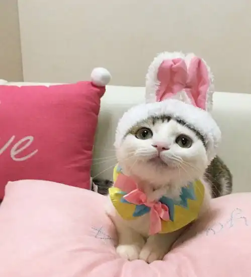 你戴套的样子真可爱哈哈哈哈哈哈哈哈哈哈哈哈哈哈哈