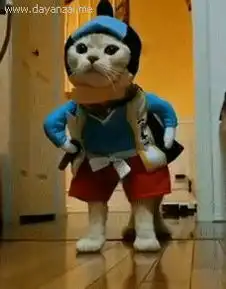 幽默图摘原来从俯视角看彩虹是这样的