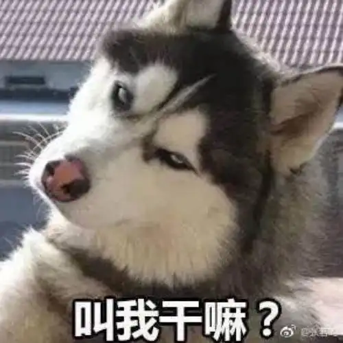 好好的车停在车库却被拆了车主查监控崩溃了,谁赔啊
