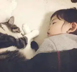 萌宠镜头下的两个小天使,让猫咪陪着孩子成长