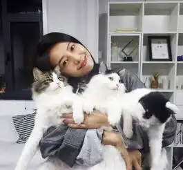 宠上天高圆圆手抱三只猫超有爱