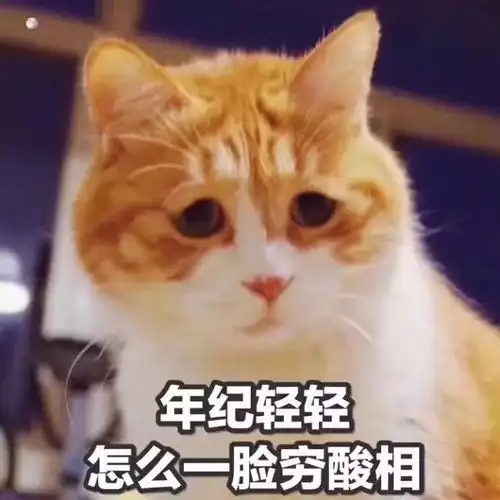 这个双十一我不光没钱买买买,我还被塞了一嘴狗粮