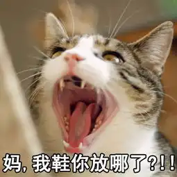 热点这就是国庆假期结束后我的生活状态,哈哈哈哈哈