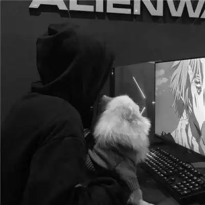 猫咪头像真人系头像图片