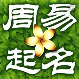 什么样的名字更容易出人头地