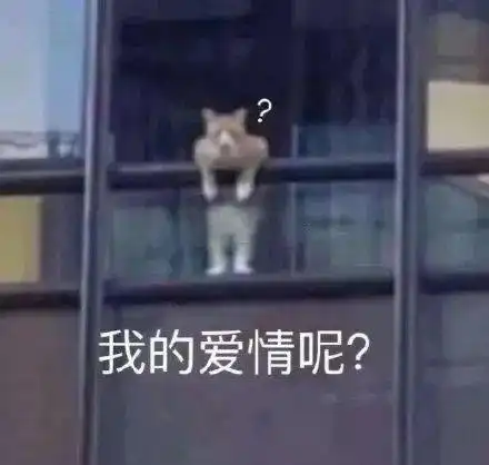 七夕怎么过的网友们的七夕总结哈哈哈...