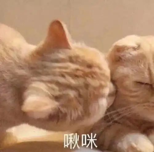 渣女妆out,2021年流行这种妆容,显白又气质