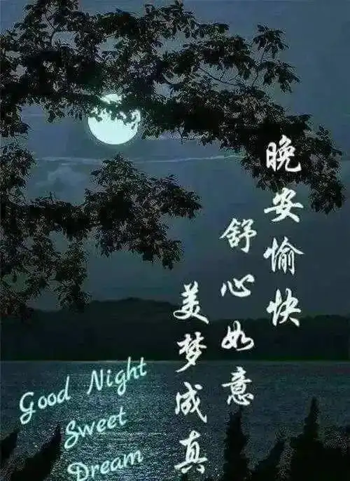 晚安温馨问候语,晚上好的经典祝福句子