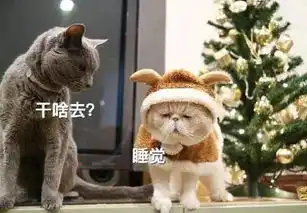 世界上的什么奶茶最好喝