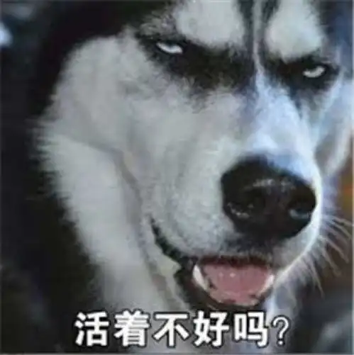 香蕉和冬枣一起吃居然是这么奇妙的味道来啊造作啊反正有香蕉冬枣